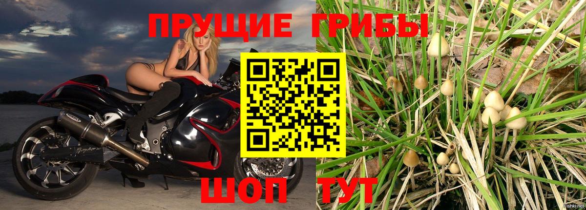 Псилоцибиновые грибы мухоморы  Вход с VPN  Краснознаменск 