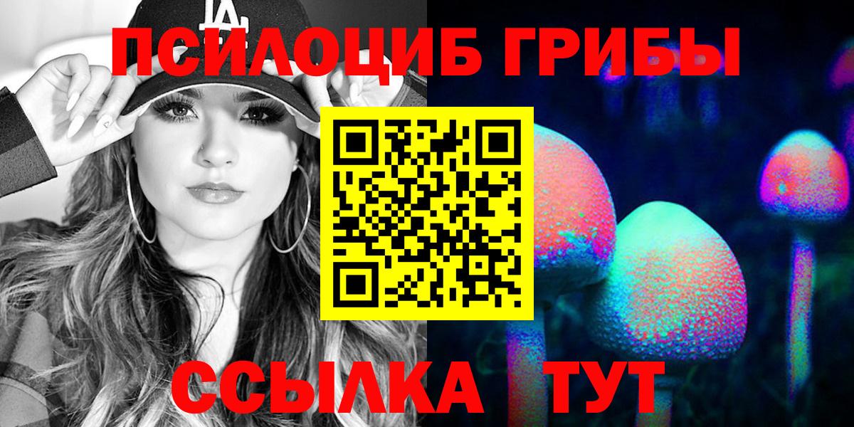 Псилоцибиновые грибы GOLDEN TEACHER Краснознаменск